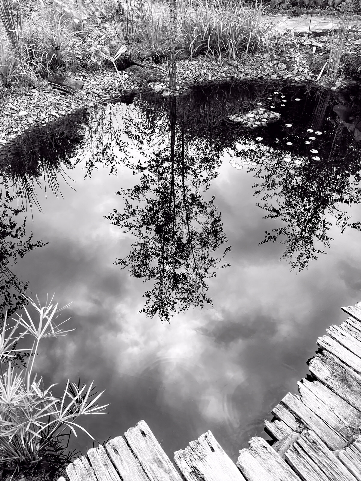 Miroir