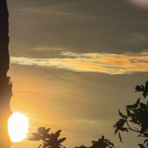 04_03_IMG_5671_HM50x70