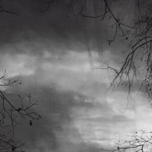 04_07_IMG_4797_HM50x70