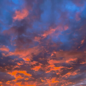 04_08_IMG_1633